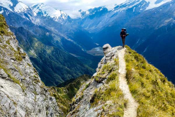 Environmental Sustainability